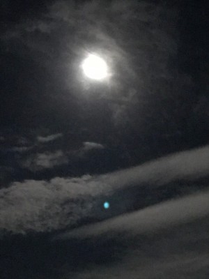 月